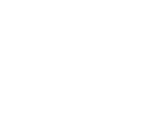 Vector